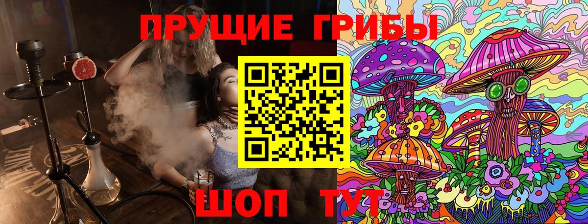 Псилоцибиновые грибы Psilocybine cubensis  Вход с VPN  Алейск 