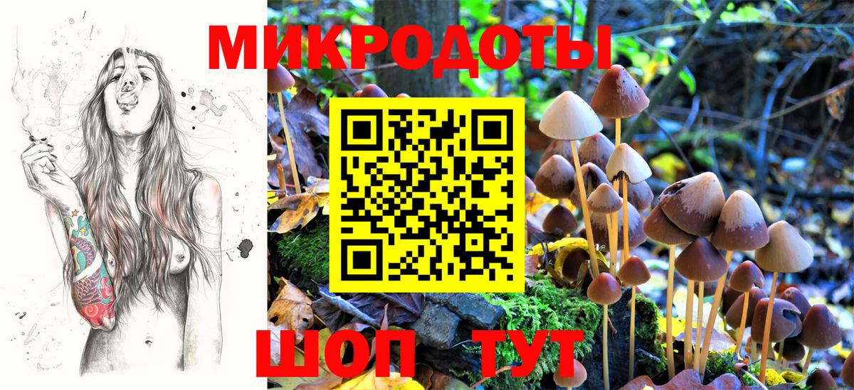 Галлюциногенные грибы мицелий Алейск